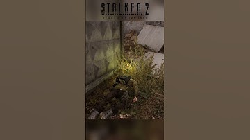 Stalker 2: Artifact Location Near Corpse (Lesser Zone)