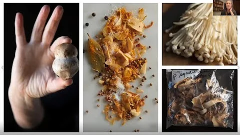 The Fantastic Fungi Community Cookbook - Eugenia B...