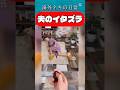 夫のイタズラ / Wife prank #海外ドッキリ #家庭内ドッキリ #夫婦ドッキリ #イタズラ