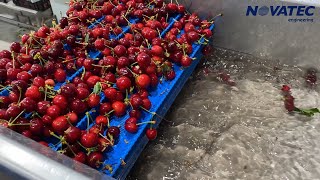 Novatec S.A. - Cherries Processing Line