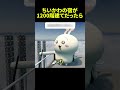 ちいかわの宿が1200階建てだったら... #ちいかわ