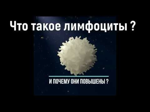 Вопрос: Как повысить уровень лимфоцитов?