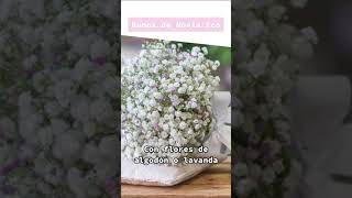 Ramos de Novia en Tendencia #ramos #novia #novias2023 #bodas #tendencias #tendenciasboda screenshot 2