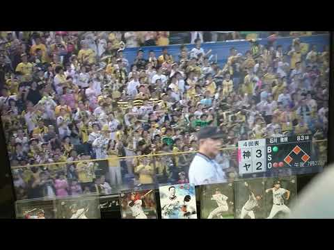 ②阪神タイガースVSヤクルトスワローズ 2018年7月29日