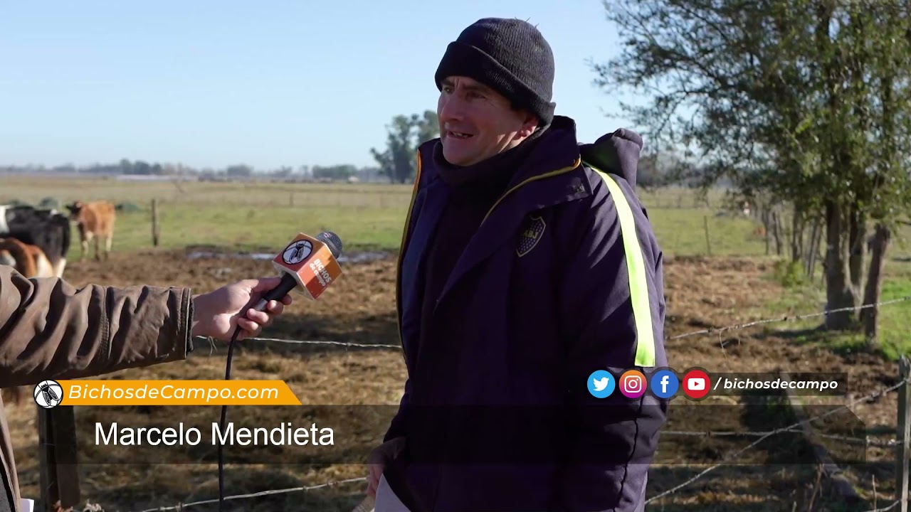 Marcelo Mendieta, tambero en Gómez de la Vega, Brandsen