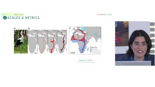 Home Range Analyses  Study Design  AniMove 2022 09 16 05Video