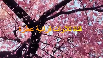 أنس الميمان نوادر القراءات سورة المؤمنون برواية رويس عن يعقوب