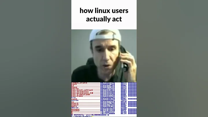 How Windows users thinks #linux users are... #shorts #linux