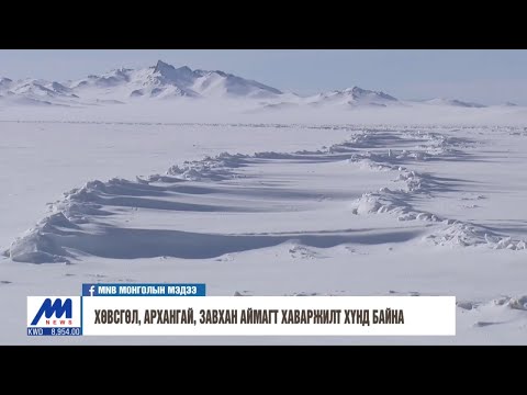 Видео: Америкийн цагаан эрвээхэй бол хорио цээрийн хортон шавьж юм