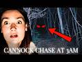We Investigated Cannock Chase And Instantly Regretted It 