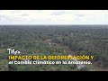 Impacto de la Deforestación y el Cambio Climático en la Amazonía - TvAgro por Juan Gonzalo Angel