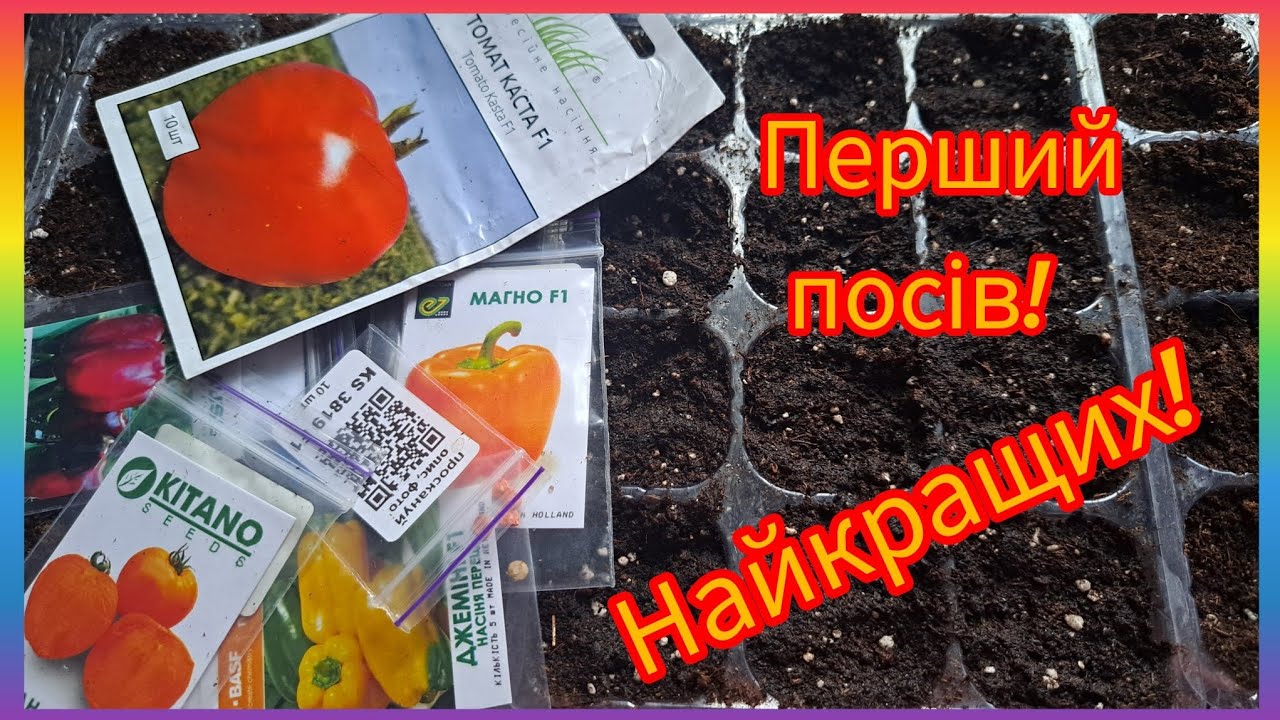 Сею томаты и перец в кассеты с Тему! 🤭🍅🌶🥬!