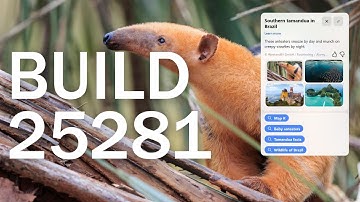 New Windows 11 Build 25281 - Redesigned Graphics Settings Page and Fixes