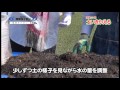 土いきかえるDVD春夏2015