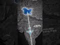How many minutes from Kashmir to Kanyakumari?(தமிழ்)#shorts