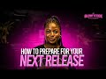 Glowstick Episode 5 | Preparing your next release