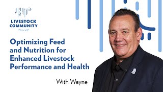 Optimizing Feed and Nutrition for Enhanced Livestock Performance and Health