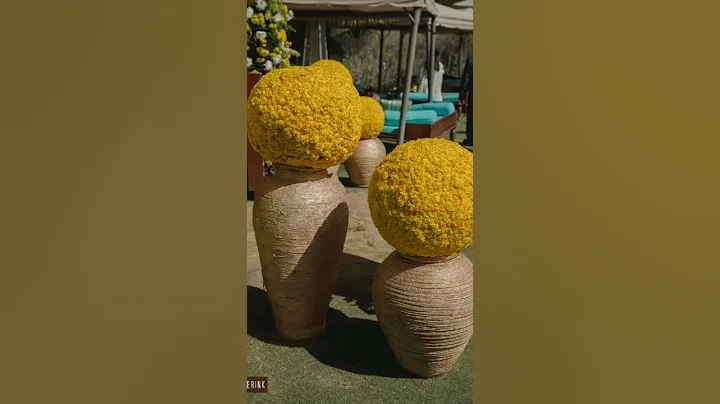 Haldi Decoration | Fiestro Events| Decoration ideas #haldi #haldiceremony #haldidecor #decoration