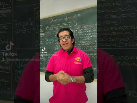 NUEVOS CICLOS: SEMIANUAL