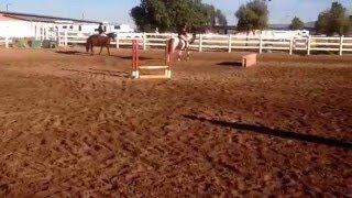 L. Green Clinic 1.22.16 Day 1, O