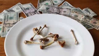2015 Super Bowl Prediction Using Chicken Wing Bones!
