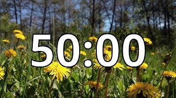 50 Minutes Timer with Music | Spring Timer