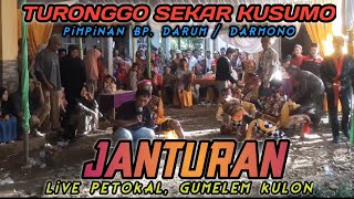 SESI JANTURAN ‼️🎭TURONGGO SEKAR KUSUMO || Live PETOKAL GUMELEM KULON #janturan #tsk