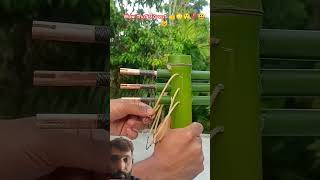 Bamboo Creation with 3 arrow #diy #craftnova #duet #craftyhome #craft
