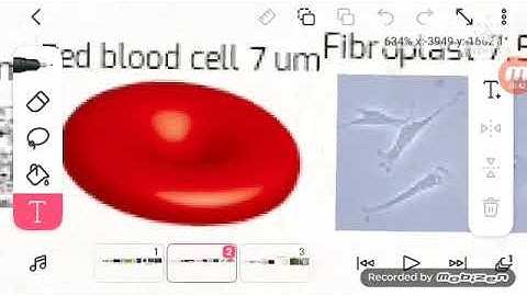 ULTIMATE Size Comparison 2022 (Part 5) 1 um - 760 um 3D 4K 60FPS