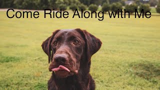 Lab Rider Dog loves to ride in Polaris Ranger by Rivers the Chocolate Lab 3 views 2 months ago 2 minutes, 51 seconds