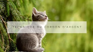 Technique du Cordon d'argent pour retrouver un animal perdu