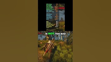 RTX 5090 at 4K in The Witcher 3!