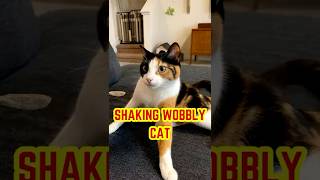 This Wobbly Cat Try His Best