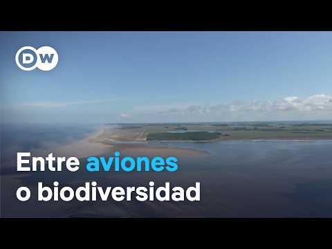 ECOLSPA261015 Uruguay 06SMW HQ 2CH