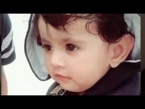 whatsapp-baby-funny-video-status-|-tiktok-whatsapp-status-funny.