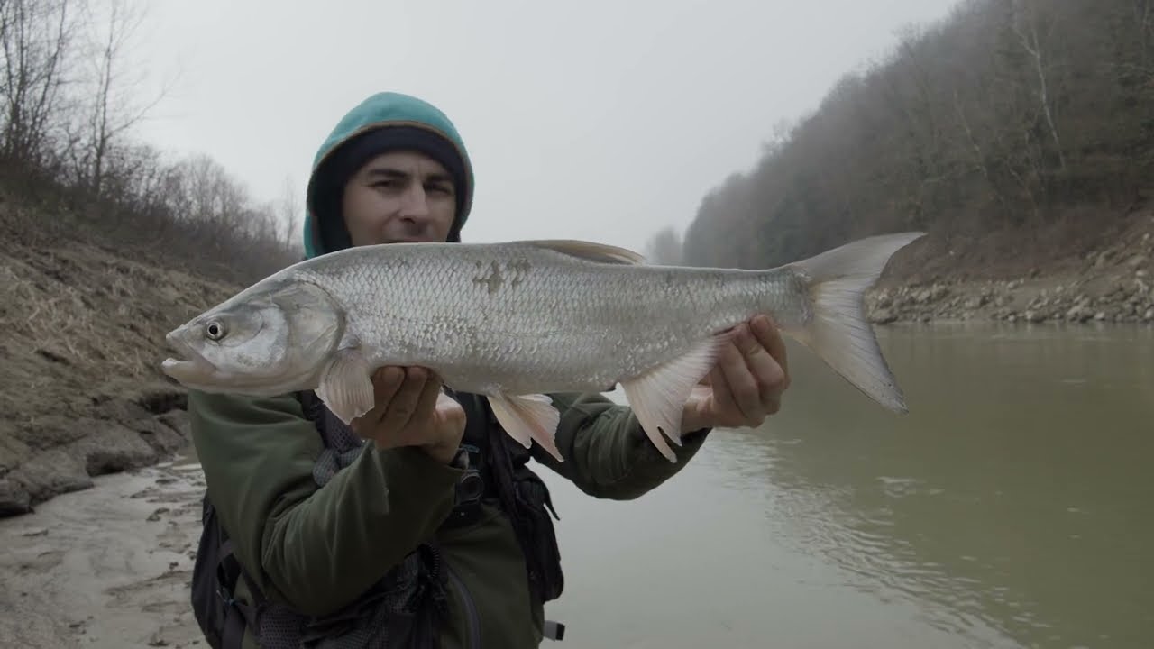 Aspi in Fiume - Fisin'Around - Ep. 9