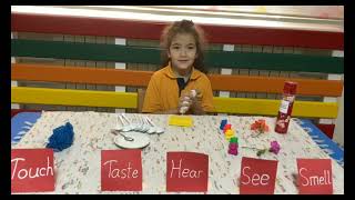 Five senses activities, kids conversation about 5 senses, touch, taste, hear, see and smell