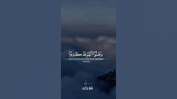سوره يوسف#تلاوة_مؤثرة #القرآن_الكريم #اكسبلور