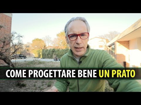 Video: Prato Moresco (46 Foto): I Pro Ei Contro Di Un Prato Fiorito, La Composizione Dei Semi, Cosa Può Essere Nella Progettazione Del Paesaggio, Recensioni