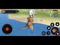 The Leopard game