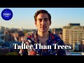 Taller Than Trees - Tattoo | CONSCI MUSIC PRODUCTION
