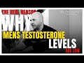 The Real Reason Why Men's Testosterone Levels Are Low.