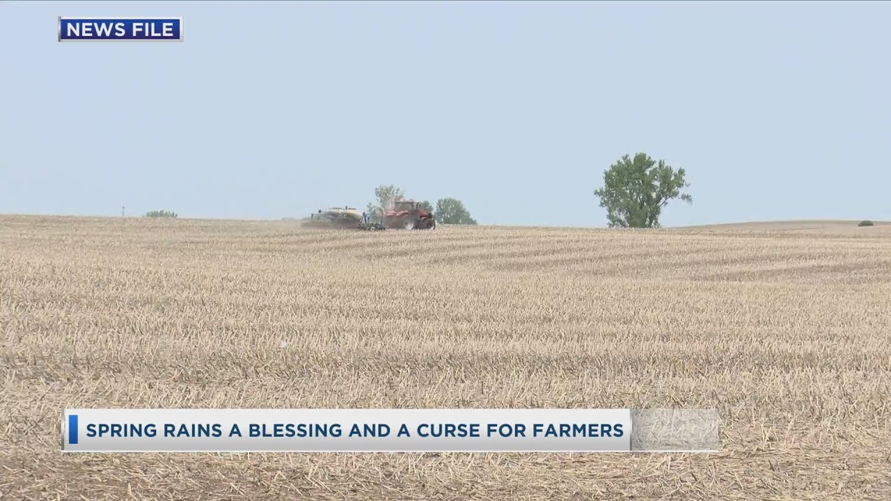 Spring Rains A Blessing And A Curse For Farmers - YouTube