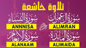 أروع التلاوات تريح القلب والنفس سورة آل عمران,النساء,المائدة,الأنعام |بصوت هادئ أحمد الشلبي