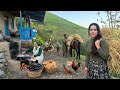 IRAN Daily Village Life Baking Bread And Rural Dinner 