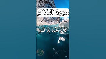 سورة التكاثر بصوت ياسر الدوسري#ياسر_الدوسري #quran #القرآن_الكريم #ماهر_المعيقلي