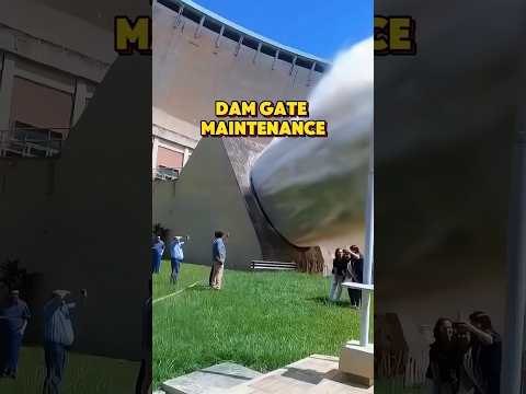 Dam gate maintenance #fyp #unique #foryou #release #debris #popularscience #knowledge