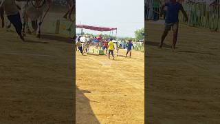 BVOR బుల్స్