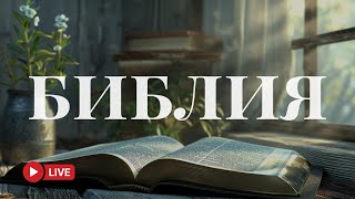 Чтение Святого Писания 24/7 — Голос истины 🔴 BibleVision Прямой Эфир