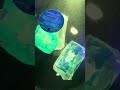 This Is What Ocean Litter REALLY Does 🐢